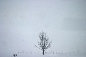 Snow